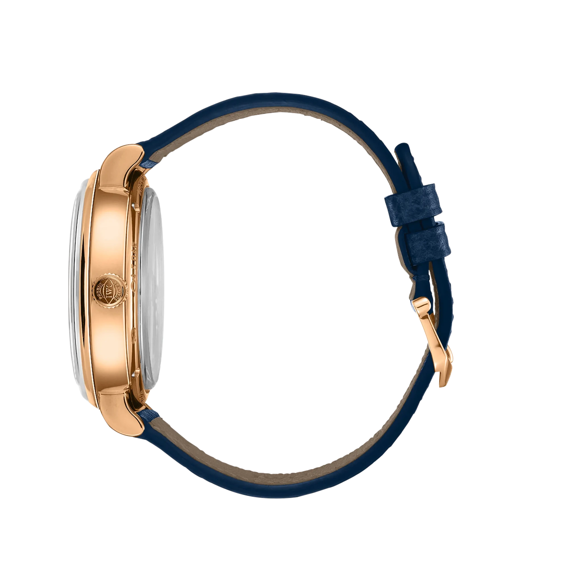 IWC Portofino Perpetual Calendar - 5