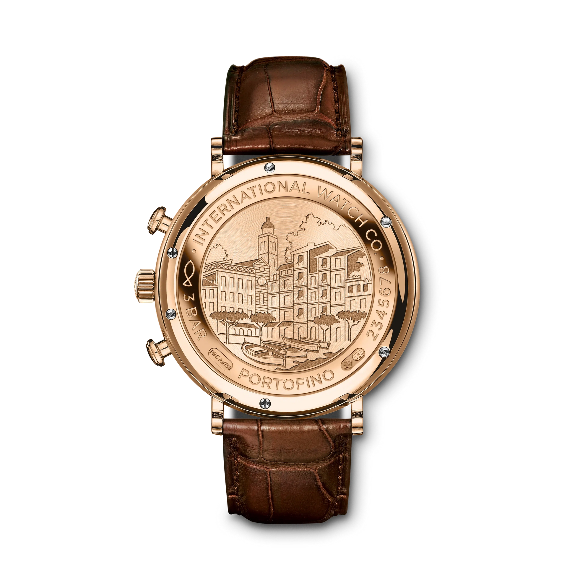 IWC Portofino Chronograph - 2