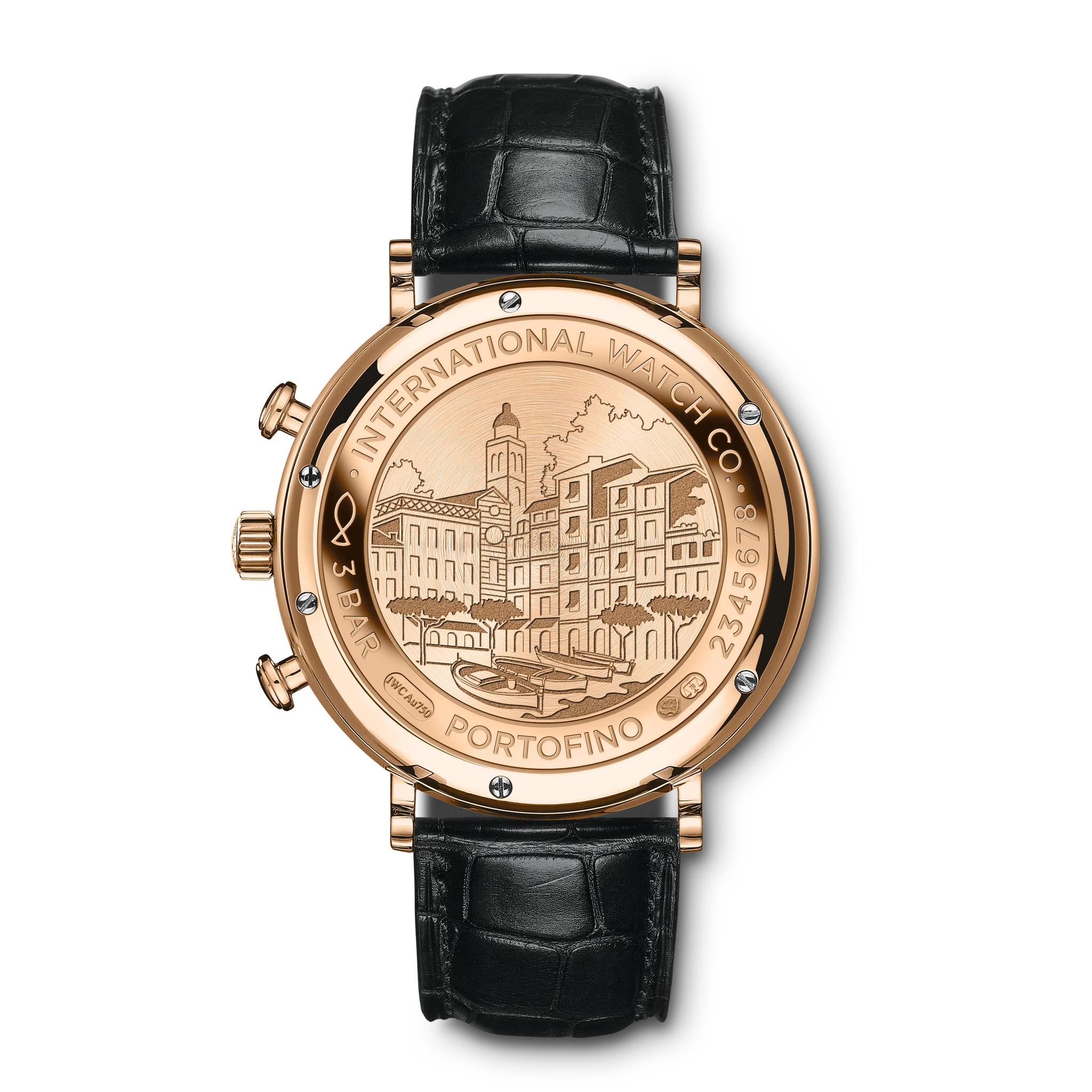 IWC Portofino Chronograph - 2